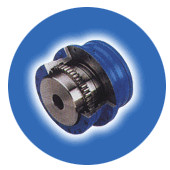 Flender Coupling